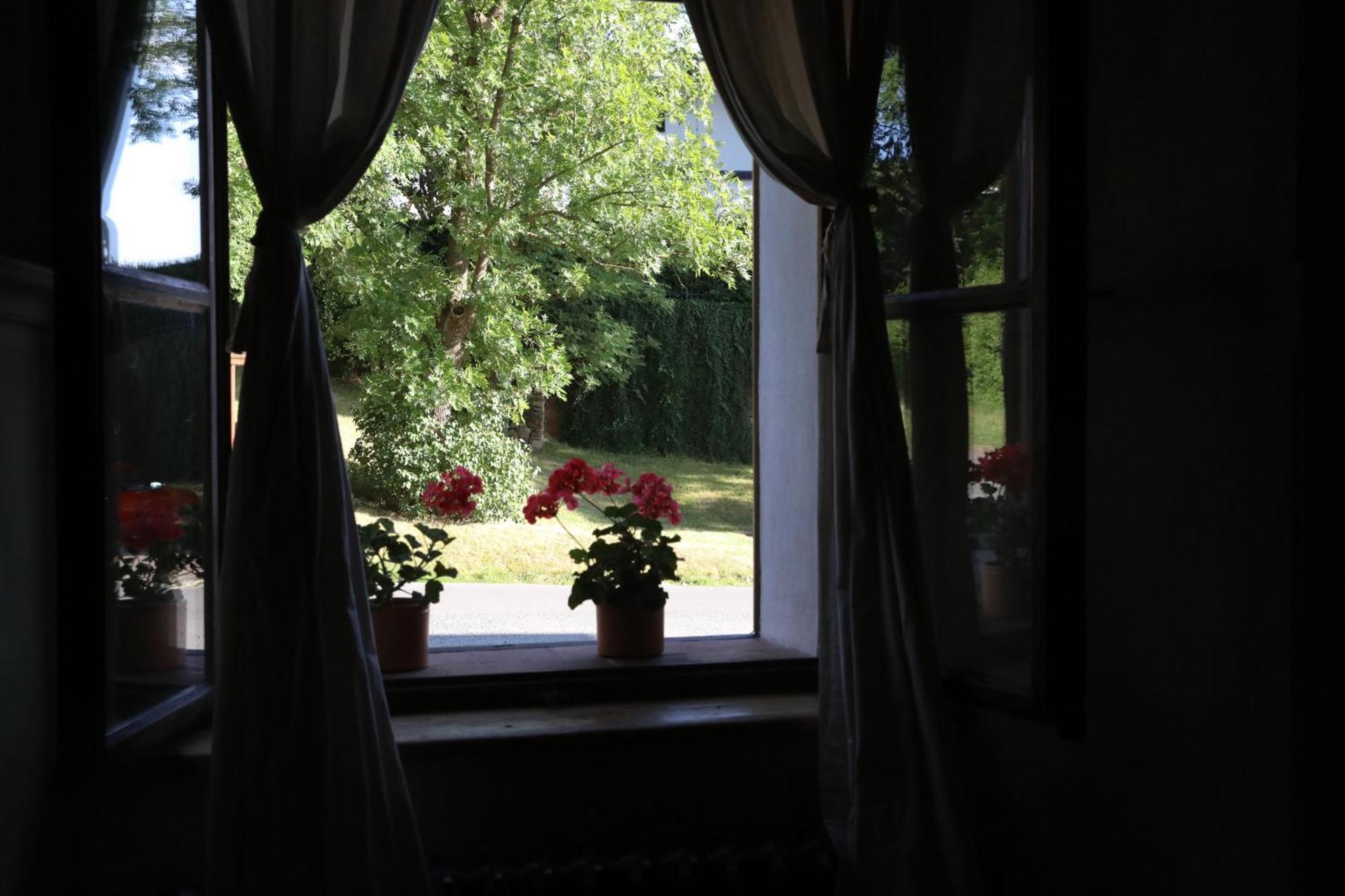Historicke Apartmany Zelenohorska Posta Nepomuk Екстериор снимка